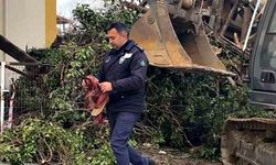 "Enkazın altında kalmasına gönlüm el vermedi"