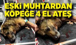 Eski muhtar, havladığı gerekçesiyle köpeği vurdu