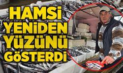 Hamsi yeniden yüzünü gösterdi