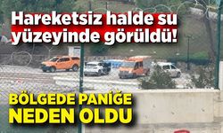 Hareketsiz halde su yüzeyinde görüldü; Bölgede paniğe neden oldu