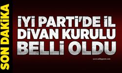 İYİ Parti'de İl Divan Kurulu belli oldu