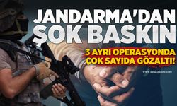 Jandarmadan 3 ayrı operasyonda şok baskın: Gözaltılar var!