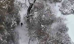 Kaçak avcıların "dron" paniği: Barınakları yıkıldı