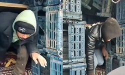 Kamyon kasasında 14 düzensiz göçmen yakalandı