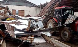 Kar birikintisi mandıra çatısını çökertti: 4 ton buğday zarar gördü