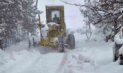 Karla mücadele çalışmaları aralıksız devam ediyor