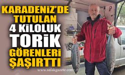Karadeniz’de tutulan 4 kiloluk torik görenleri şaşırttı