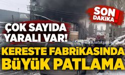 Kereste fabrikasında büyük patlama: Çok sayıda yaralı var!