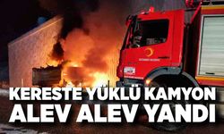 Kereste Yüklü Kamyon Alev Alev Yandı