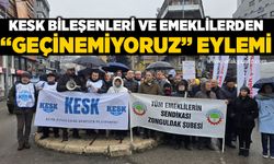 KESK bileşenleri ve emeklilerden “Geçinemiyoruz” eylemi