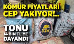 Zonguldak’ta Kömür Fiyatları Cep Yakıyor: Tonu 14 Bin TL’ye Dayandı