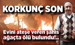 Ordu’da evini ateşe veren şahıs ağaçta ölü bulundu