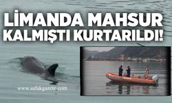 Limanda mahsur kalmıştı kurtarıldı!