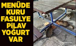 Menüde kuru fasulye, pilav, yoğurt var
