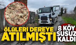 Ölüleri dereye atılmıştı: 8 köy susuz kaldı