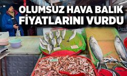 Olumsuz hava balık fiyatlarını vurdu