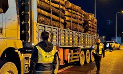 Ormanlarda Kaçak Emval Denetimi aralıksız sürüyor