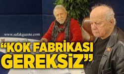 “Kok fabrikası gereksiz”