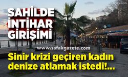 Zonguldak'ta sinir krizi geçiren kadın denize atlamak istedi