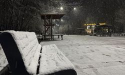 Sakarya’da Lapa Lapa Kar Başladı