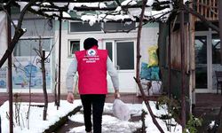 Soğuk günlerde hem içleri hem gönülleri ısıtıyorlar