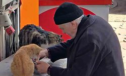 Soğuk havada yürek ısıtan görüntü