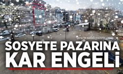 Sosyete pazarına kar engeli