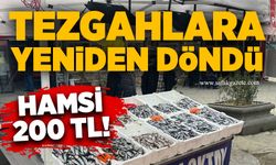 Tezgahlara yeniden döndü: Hamsi 200 TL!