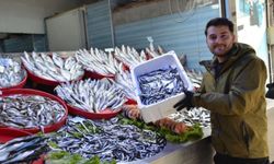 Tezgahların yıldızı palamut yerine Karadeniz hamsisi oldu
