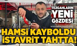Tezgâhların yeni gözdesi: Hamsi kayboldu, istavrit tahtta!