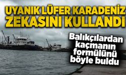 Uyanık lüfer Karadeniz zekasını kullandı! Balıkçılardan kaçmanın formülünü böyle buldu...