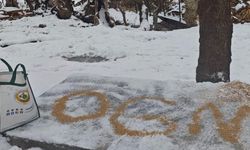 Yaban Hayvanları İçin Kış Desteği Sürüyor