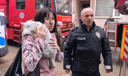 Yangında Can Pazarı: Çocuklar Tahliye Edildi, Kediler Kurtarıldı