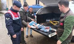 Yasa Dışı Karaca Avına Ağır Ceza: 50 Bin TL