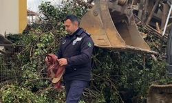 Yıkım Durdu, Zabıta Türk Bayrağını Kurtardı