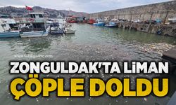 Zonguldak'ta liman çöple doldu