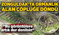 Zonguldak’ta ormanlık alan çöplüğe döndü!