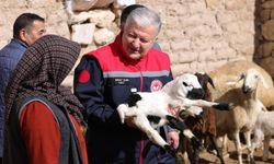 1,5 Milyarla 125 Bin Küçükbaş Alınacak