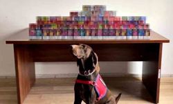 150 kaçak elektronik sigara ele geçirildi