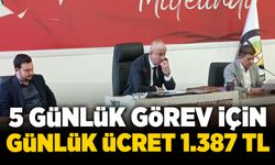5 günlük görev için günlük ücret 1.387 TL