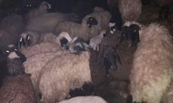 Ahırda korkutan yangın