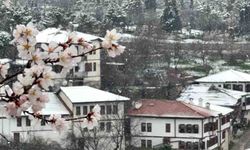 Büyüleyici manzara: Bahar ve kış bir arada geldi