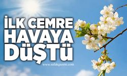 Baharın habercisi cemre havaya düştü