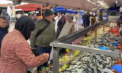 Balık tezgahlarında hamsi yok, vatandaş diğer balıklara yöneldi