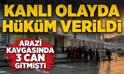 Arazi kavgasında 3 can gitmişti: Kanlı olayda hüküm verildi