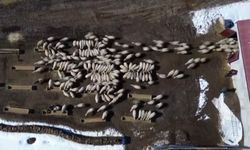 Bayburt’ta 50 Milyon Liralık Yem Desteği Uygulandı