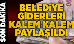 Devrek Belediyesi giderleri kalem kalem paylaştı