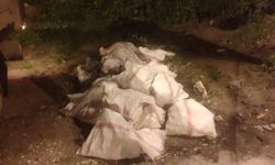 Bodrum’da Moloz Dökene 50 Bin TL Ceza