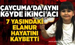 Çaycuma'da aynı köyde ikinci acı: 7 yaşındaki Elanur hayatını kaybetti
