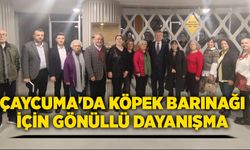 Çaycuma'da Köpek Barınağı İçin Gönüllü Dayanışma